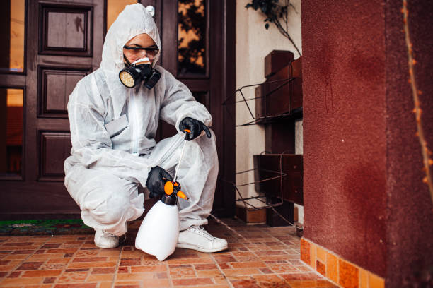 Reliable Ant Control contractor in Edmonds, WA by Show Me Pest Control